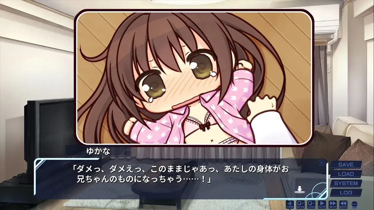 妹のセイイキ 妹的圣域 PC+KRKR平台 gal类型图片-3 妹のセイイキ 妹的圣域 PC+KRKR平台 gal类型图片-3
