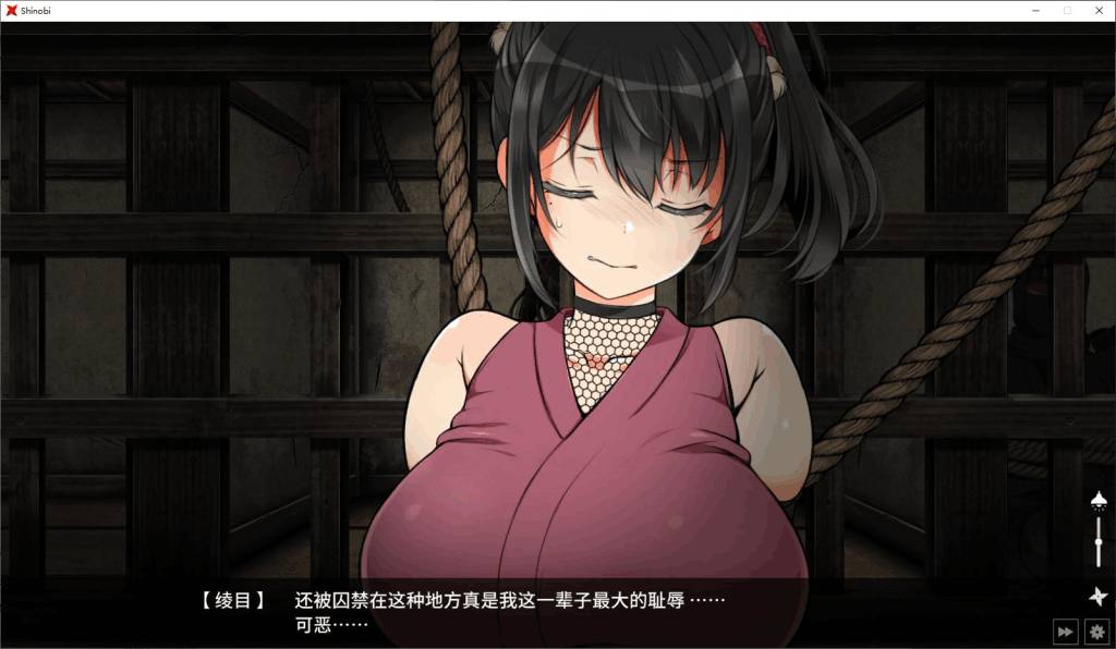 忍堕：忍者命运之抉择
