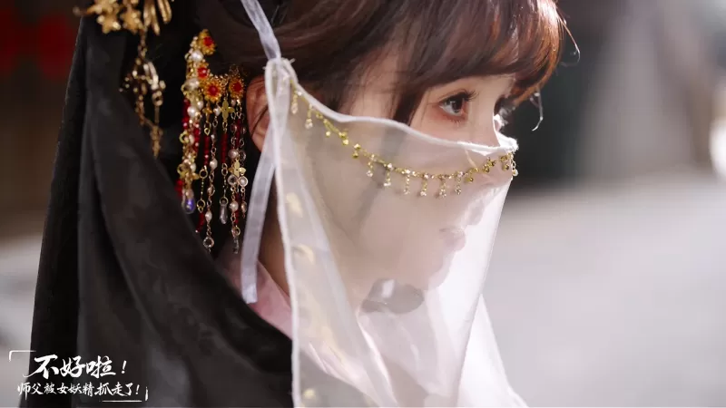 不好啦！师父被女妖精抓走了！/SIFU Kidnapped! Adventure in the Women’s Kingdom